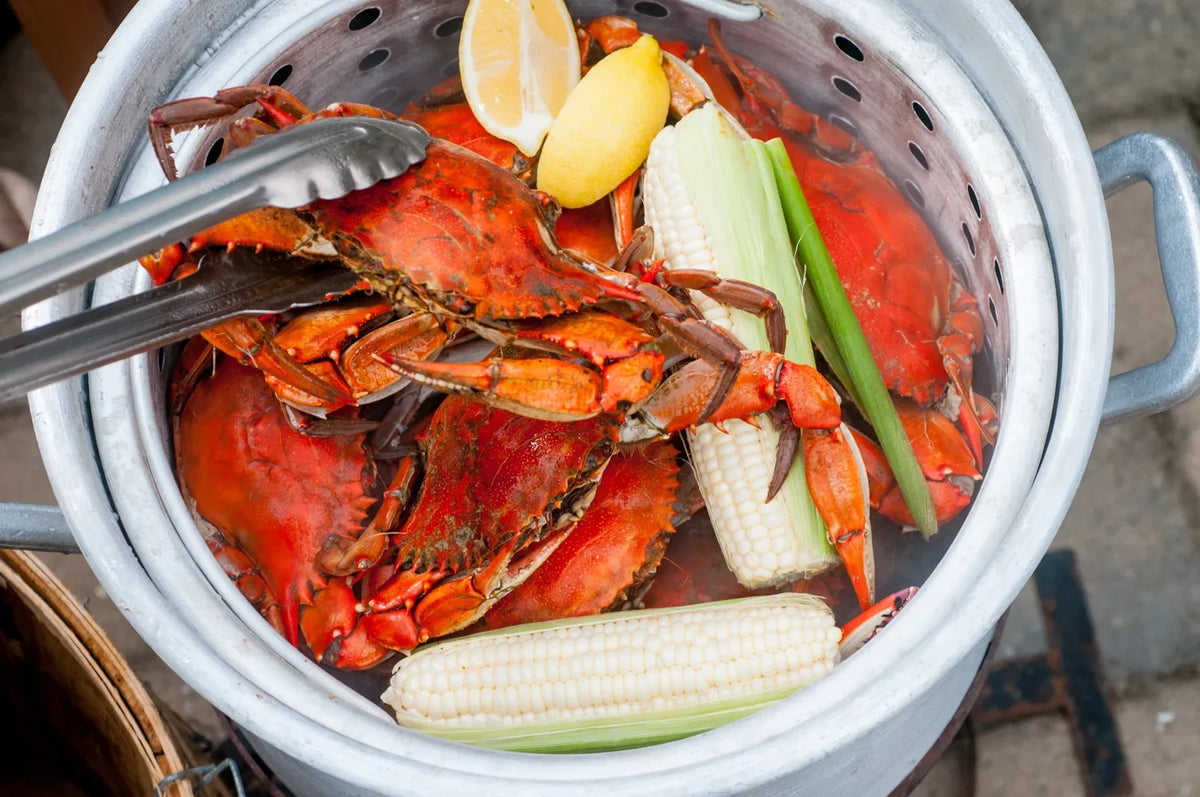 Steamed Maryland blue crabs done to bright orange-red