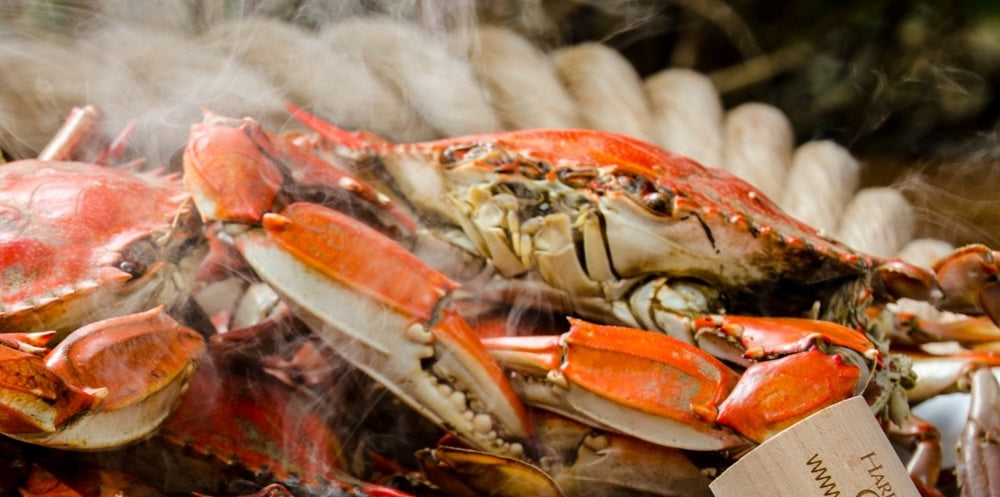 Steamed female blue crabs on a platter with a wooden mallet
