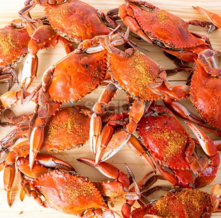 Steamed Maryland blue crabs dusted with crab seasoning, piled on a table