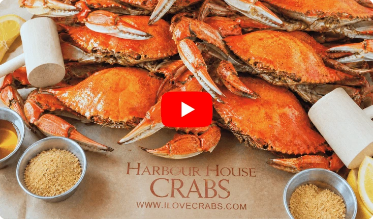 Load video: CBS News also featured Harbour House Crabs in a television segment about the company and its Mary...