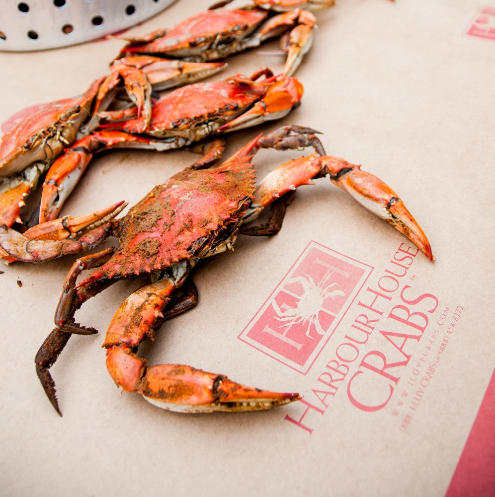Steamed Maryland blue crabs on Harbour House Crabs crab paper