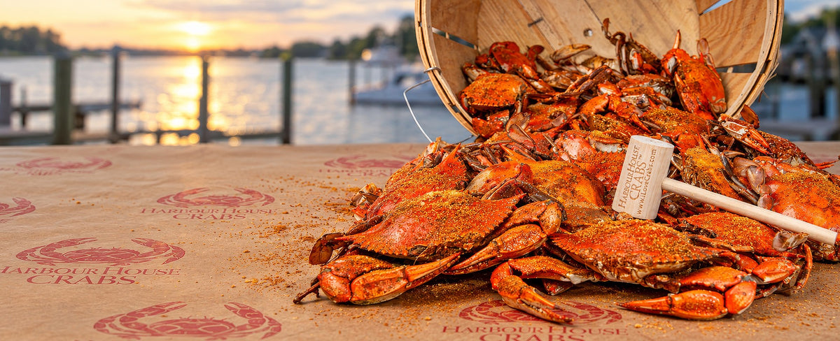 Harbour House Crabs