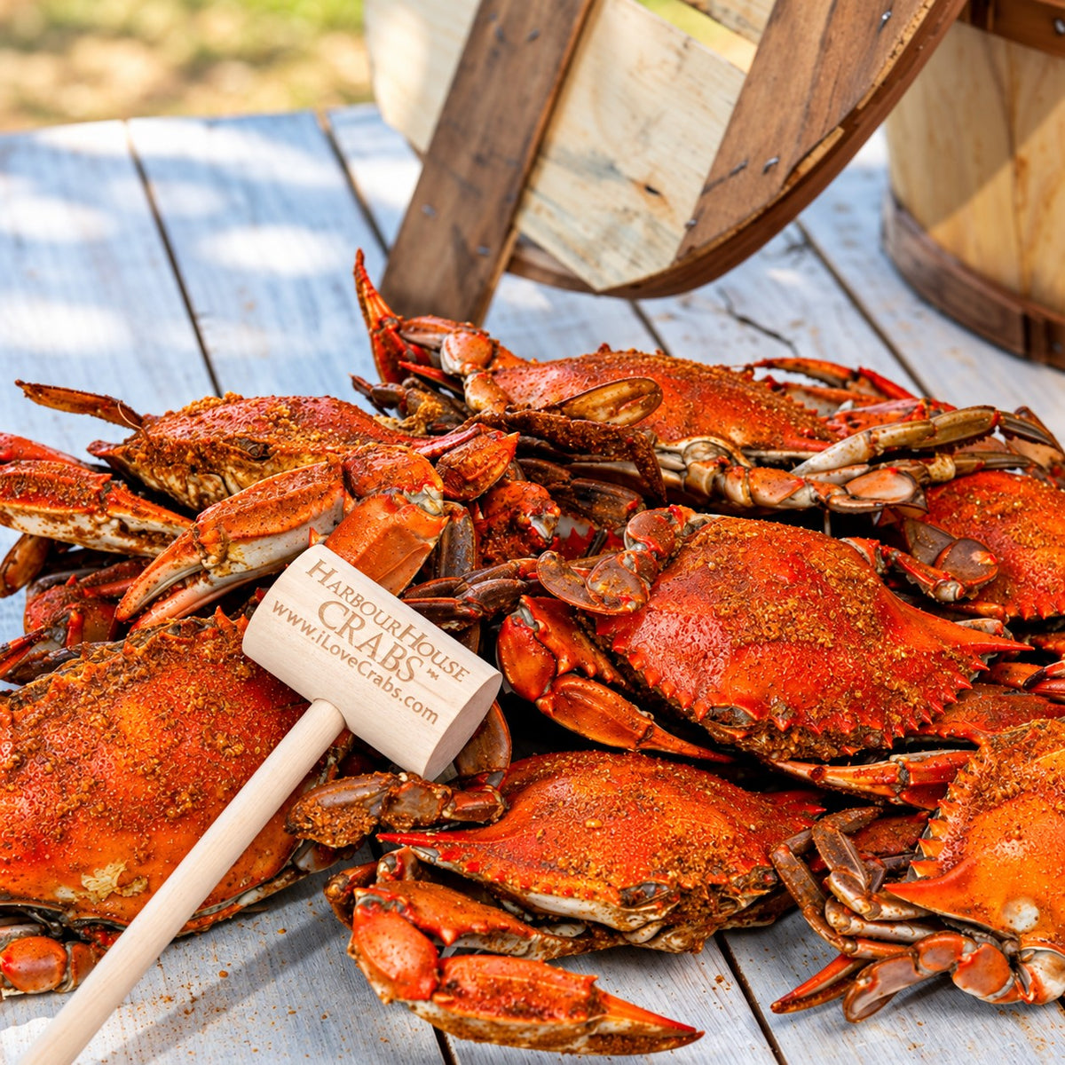 Steamed Maryland Blue Crabs - Jumbo Males (6½–7 in)