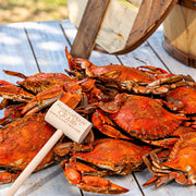 Steamed Maryland Blue Crabs - Jumbo Males (6½–7 in)