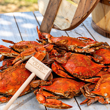 Steamed Maryland Blue Crabs - Jumbo Males (6½–7 in)