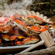 Steamed large female Maryland blue crabs, steaming on a platter