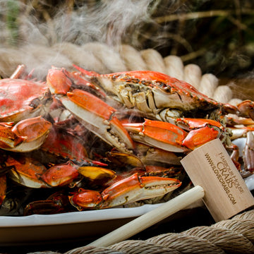 Steamed large female Maryland blue crabs, steaming on a platter
