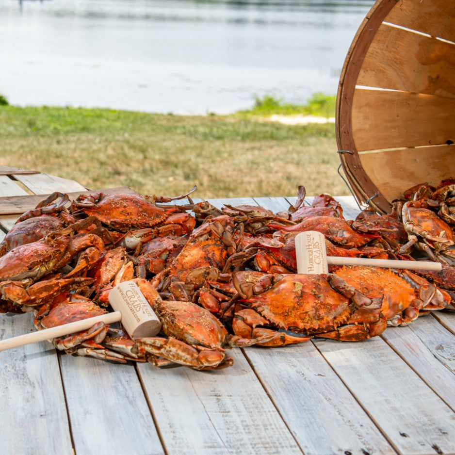 Steamed medium male blue crabs spilling from a bushel basket onto a deck