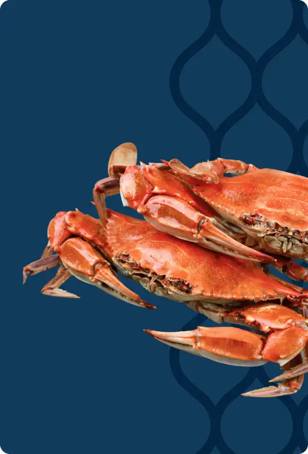 Harbour House Crabs