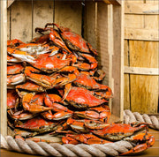 Steamed premium Maryland blue crabs stacked in a wooden crate