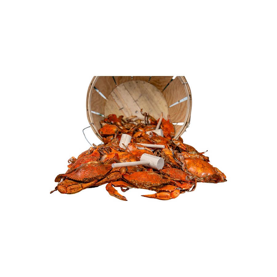Maryland Steamed Crabs