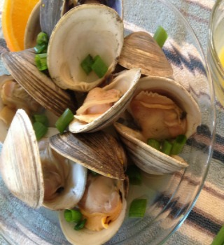 Steamed topneck clams, opened, in a glass bowl with scallions
