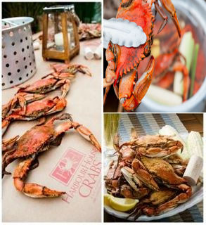 Premium blue crab feast collage: on crab paper, in tongs, plated