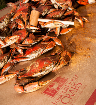 Steamed blue crabs and mallets on Harbour House Crabs crab paper