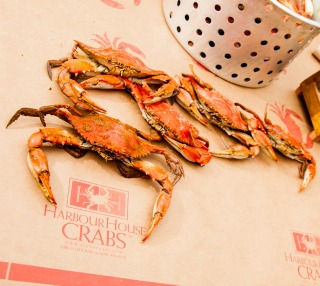 Brown crab table paper printed with the Harbour House Crabs logo, with crabs