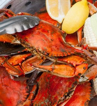 Steamed blue crabs lifted with metal tongs beside lemon and corn