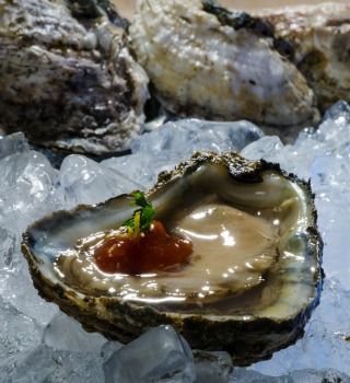Shucked Maryland oyster in its shell on ice with cocktail sauce