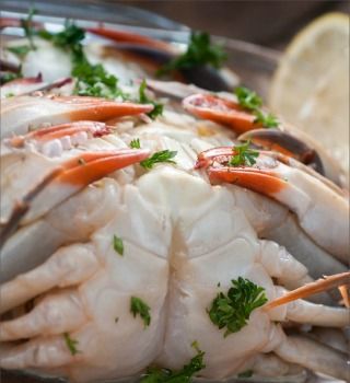 Jumbo soft shell crab, raw and cleaned, shown belly-up