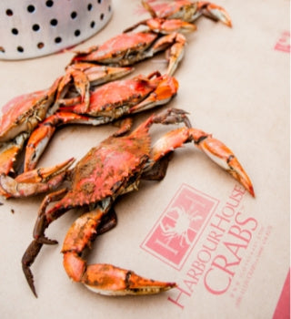 Steamed jumbo blue crabs on Harbour House Crabs crab paper
