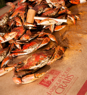 Ultimate Maryland Crab Feast Pack - 1 Dozen Blue Crabs, 2 Mallets. 1 Crab Paper, 1 iLoveCrabs Pint Glass, Free Regional Shipping