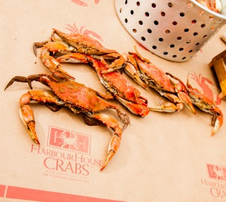 Accessory - Crab Paper