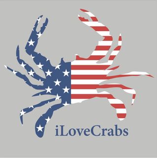 iLoveCrabs Collection - Gray T Shirt  - USA