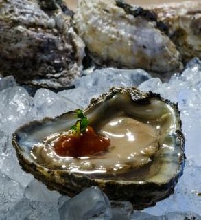 Oysters - Maryland Local Shucked