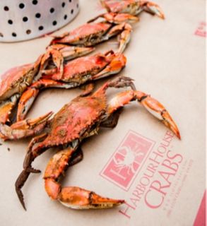 Jumbo Deluxe Crab Feast - 1 Dozen Blue Crabs  (6 1/4 - 7), 2 Mallets, 1 Crab Paper, 1 "iLoveCrabs" Pint Glass