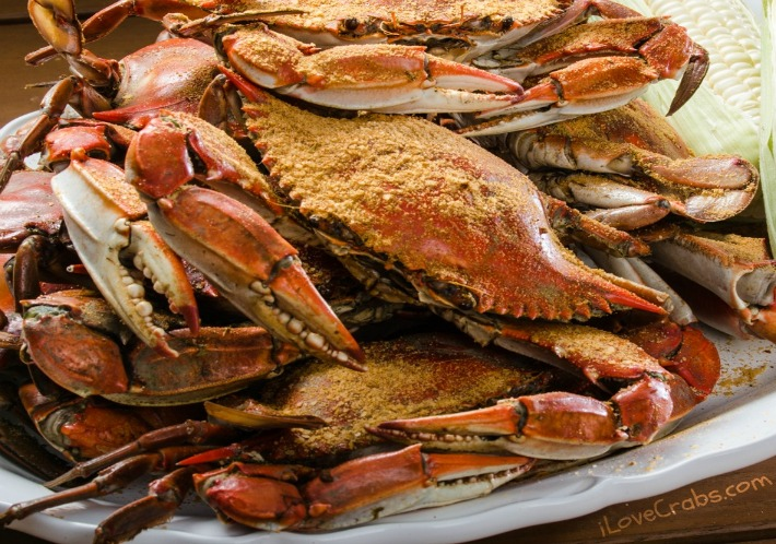 Maryland Blue Crabs