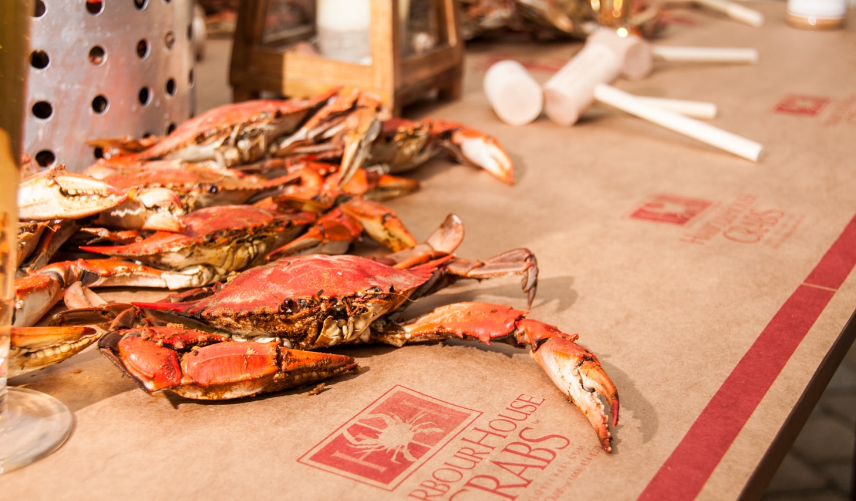 Buy Maryland Blue Crabs Online | Order Crab Cakes - Harbour House Crabs