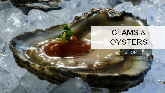 Clams & Oysters